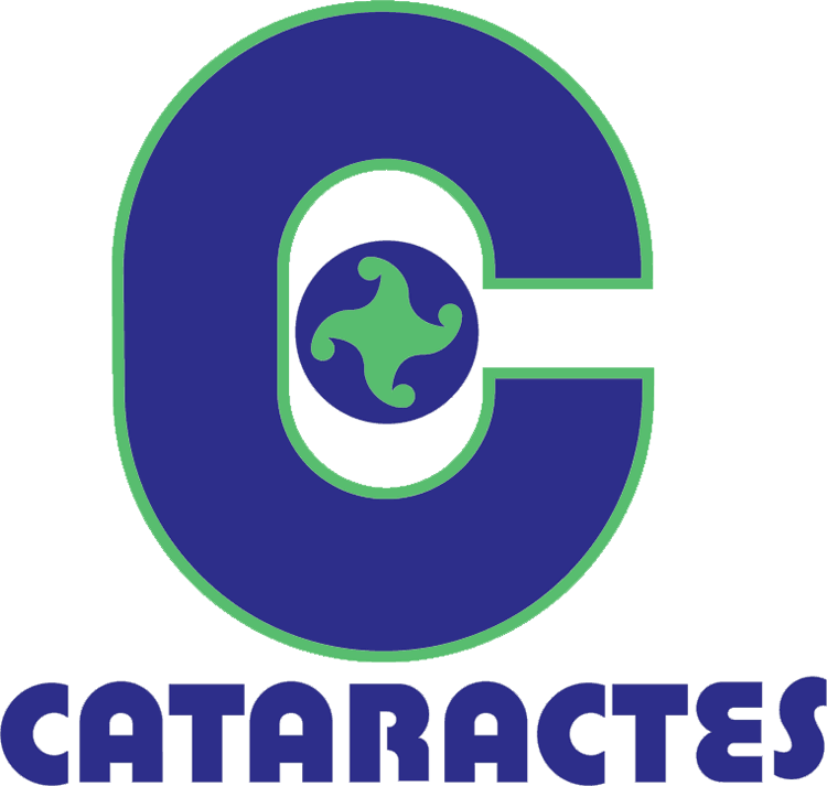 Shawinigan Cataractes 1978 79-1989 90 Primary Logo vinyl decal